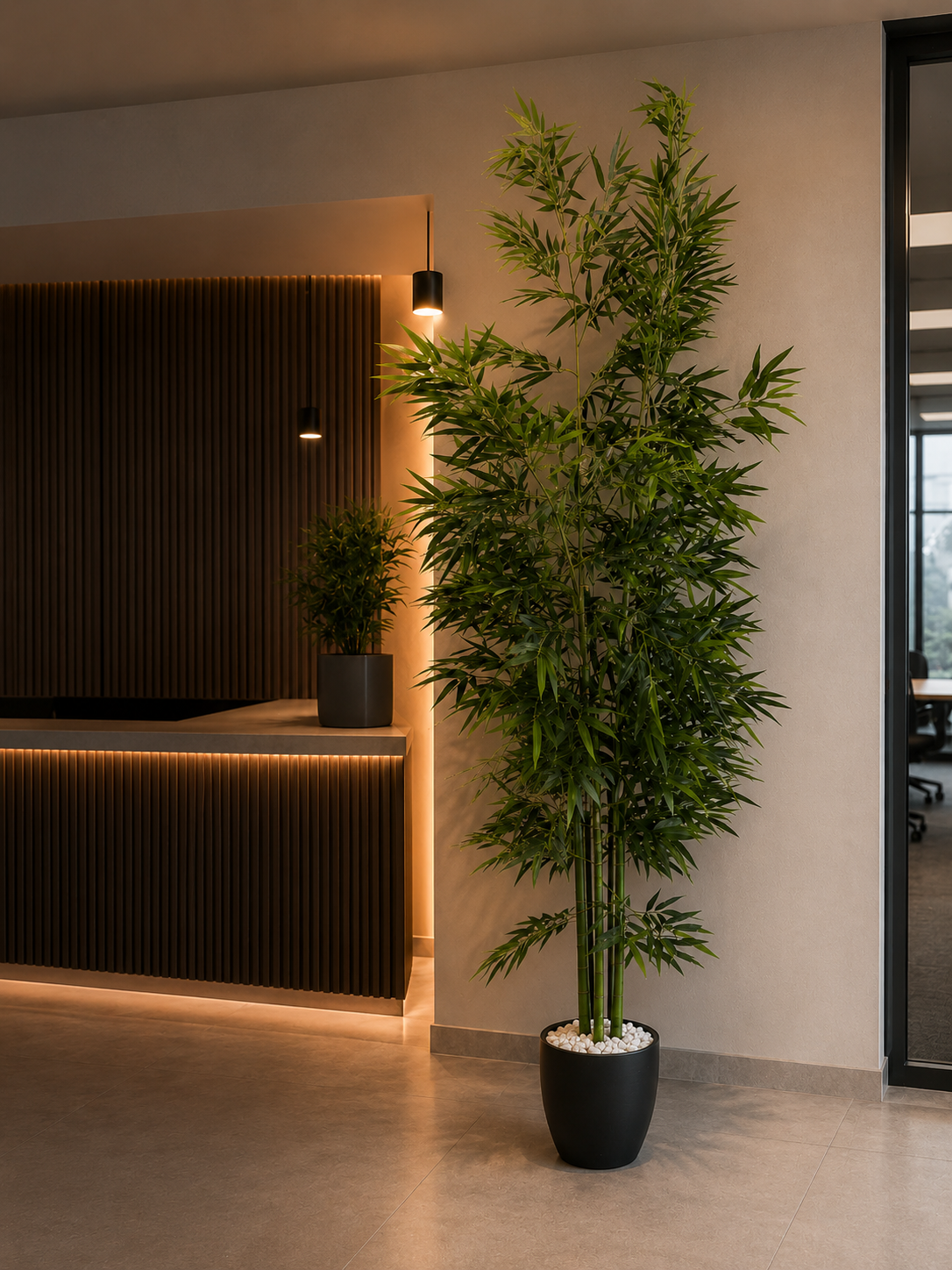 Green Stem Bamboo Plant