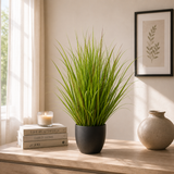Wild Grass Greenish