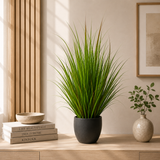 Wild Grass Greenish
