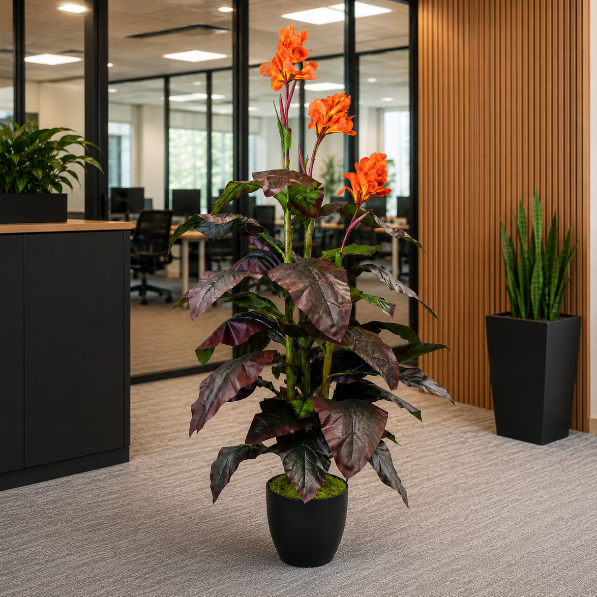 Canna Lily 165cm