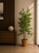 Green Stem Bamboo Plant