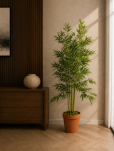Green Stem Bamboo Plant