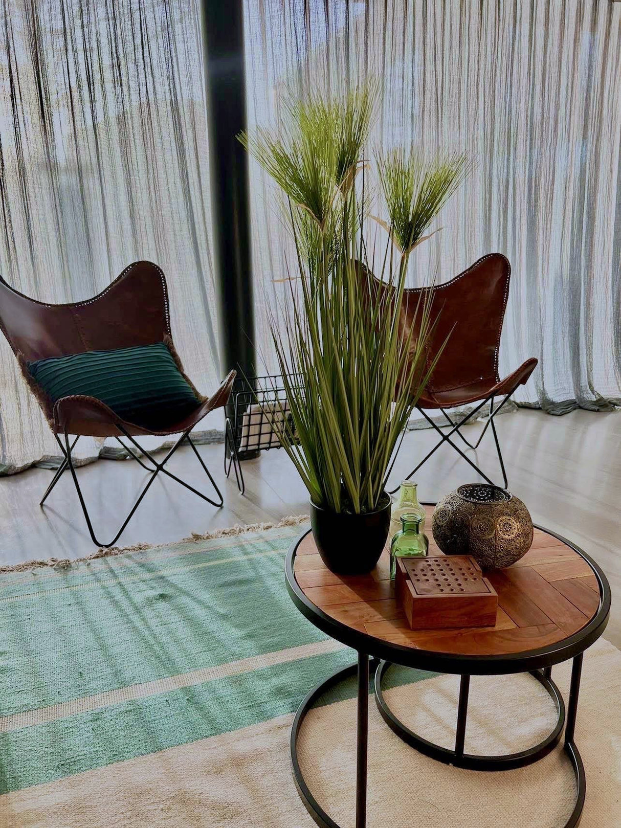 Cycas Grass