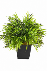 Mini Bamboo Plant – 25cm