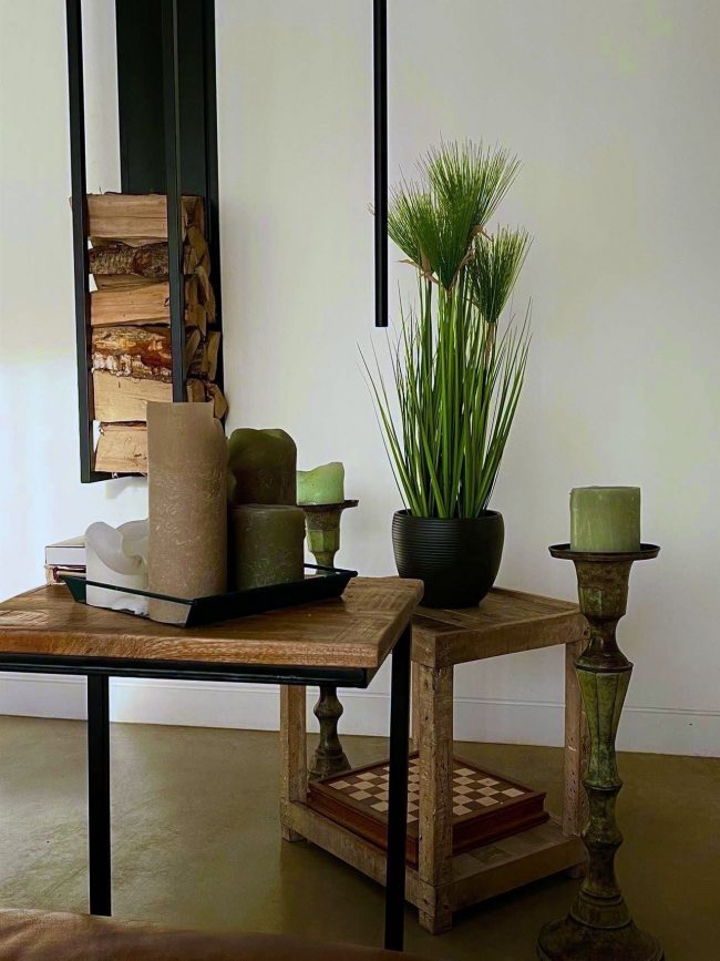 Cycas Grass - Image 3